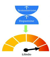 Iran J Pharm Res